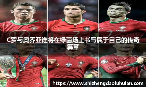 三亿官网